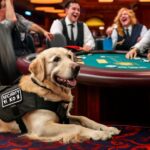 casino animal detection debunked